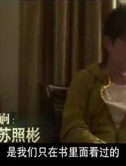 国产aa经典观看视频,重温aa的视听盛宴  第1张