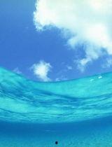 sea85国产视频,sea85引领潮流的视觉盛宴  第1张