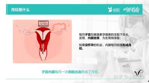 国产女性护理方法视频播放,视频揭秘传统与现代护理方法  第2张