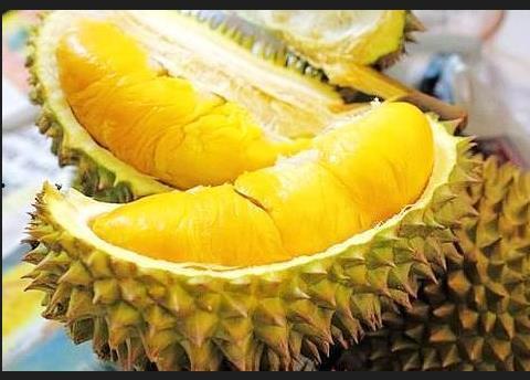 国产榴莲艰难过程图片视频  第2张