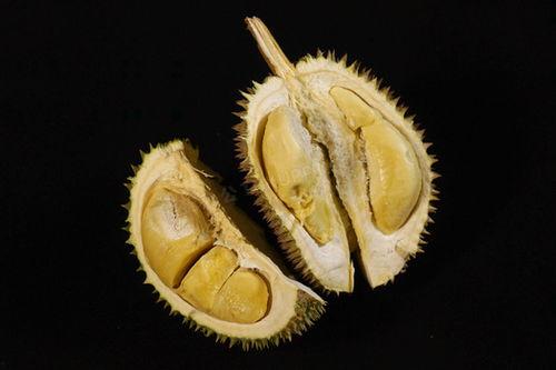 国产榴莲艰难过程图片视频  第3张